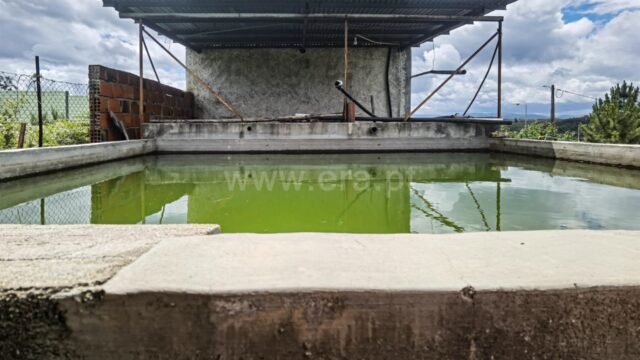 All Listings quinta tabua candosa 14 1 1238780 15642510 2 1 fv4 ffkpv3pbzzhqgap4ko58gy2euemurnxud4szt5veb8h4zppqcw==