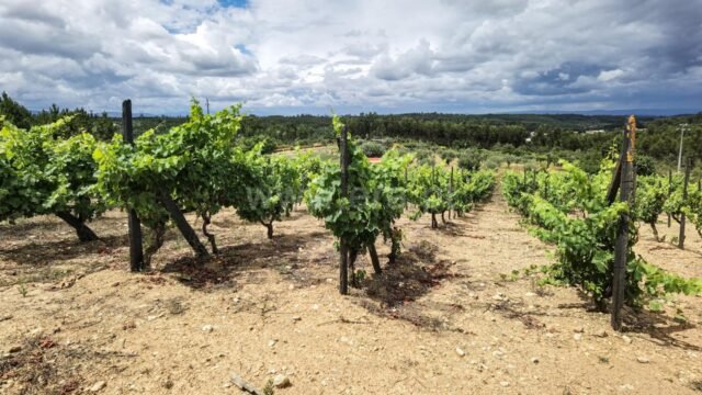 All Listings quinta tabua candosa 14 1 1238780 15642511 2 1 e9tbu0x3mqej9+favtmpazzlunufwrzz73tta1ezb1beb8h4zppqcw==